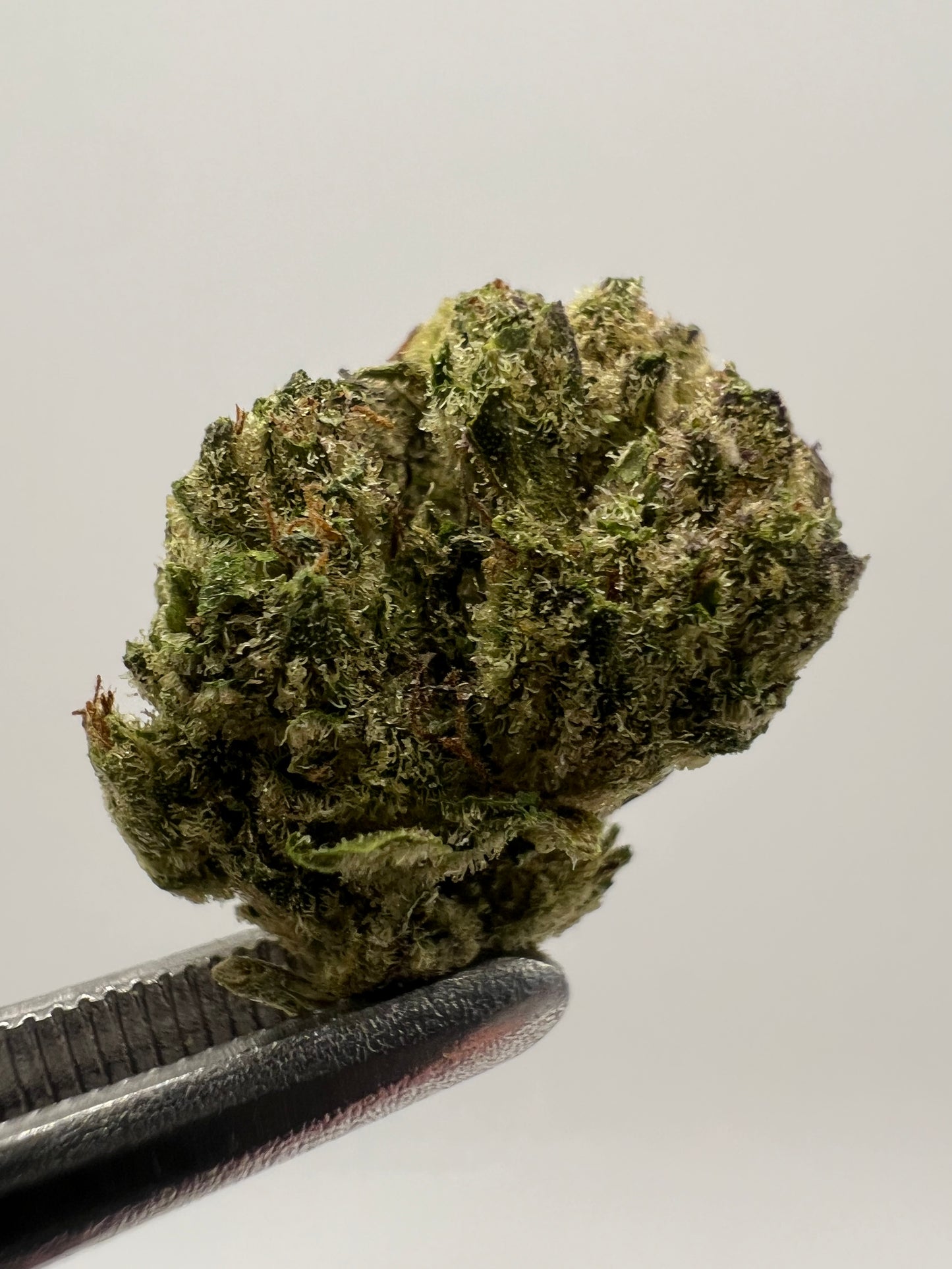 Blue Zushi | THCA Flower Smalls