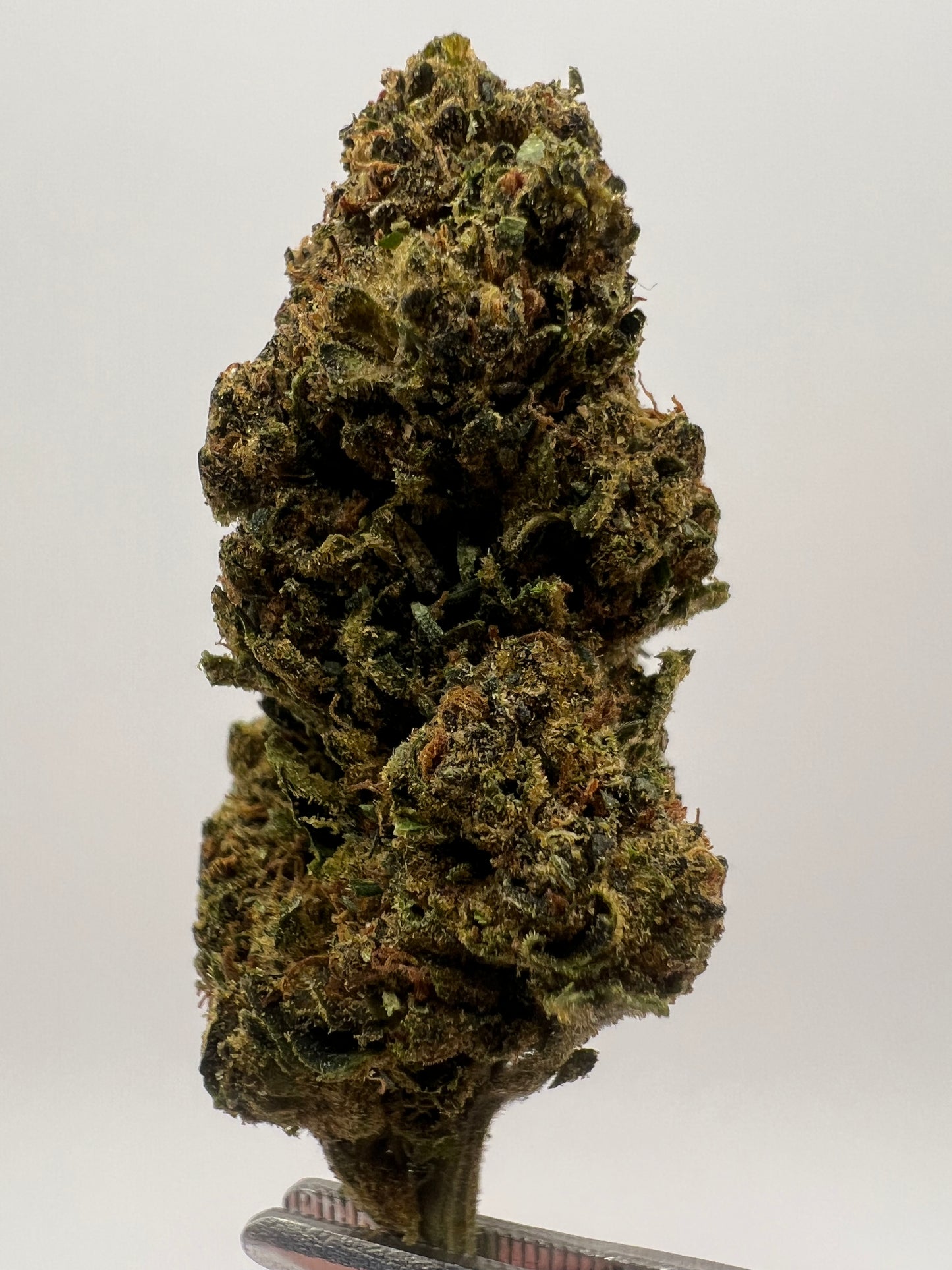 Life Star | THCA Flower
