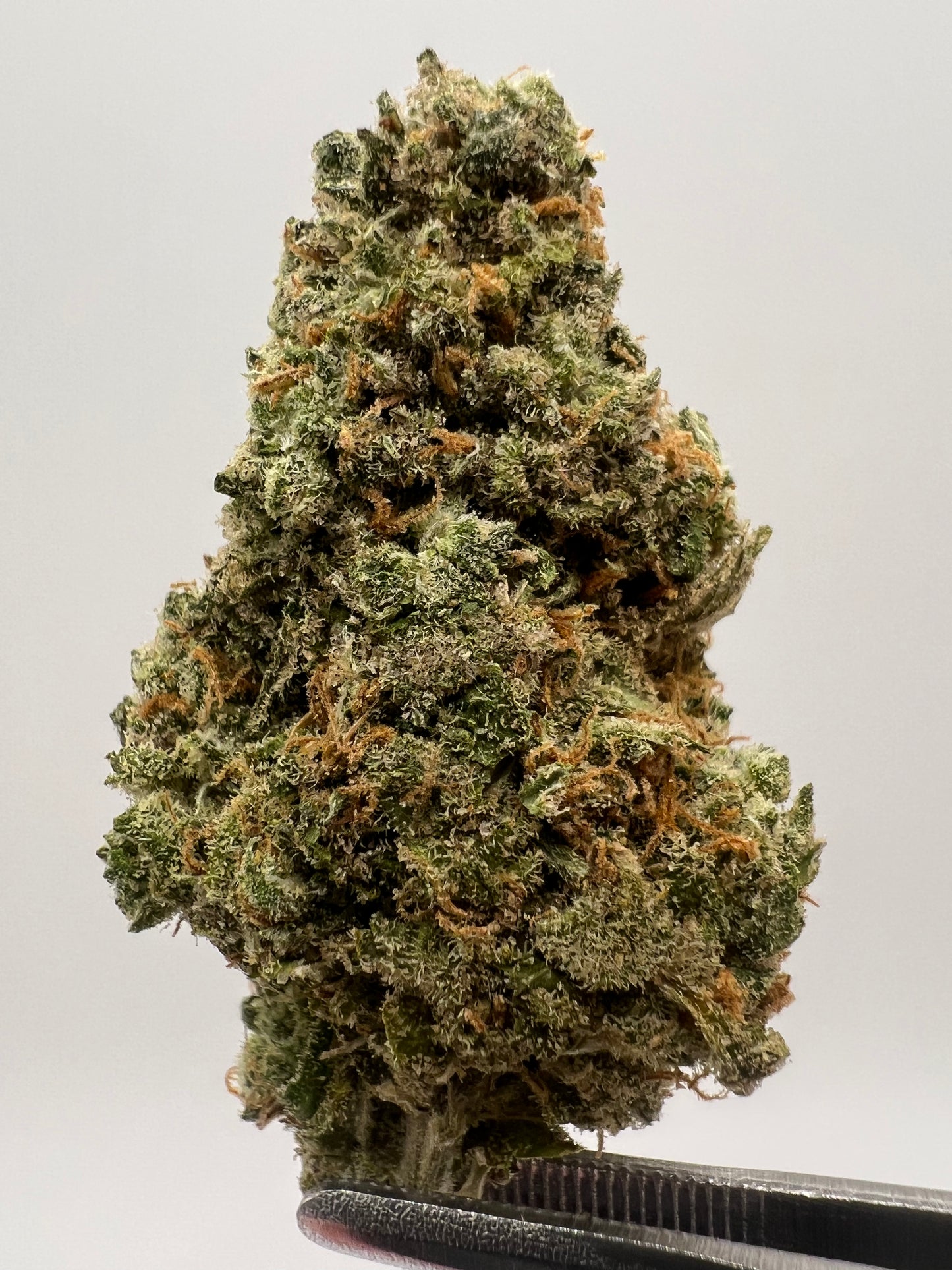 Jack Herer | THCA Flower