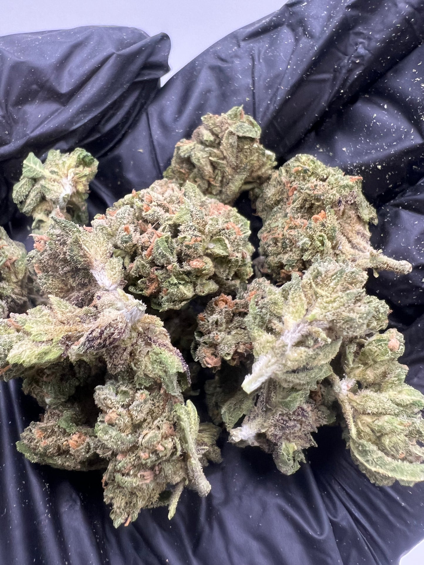 Blue Lobster | THCA Flower Smalls