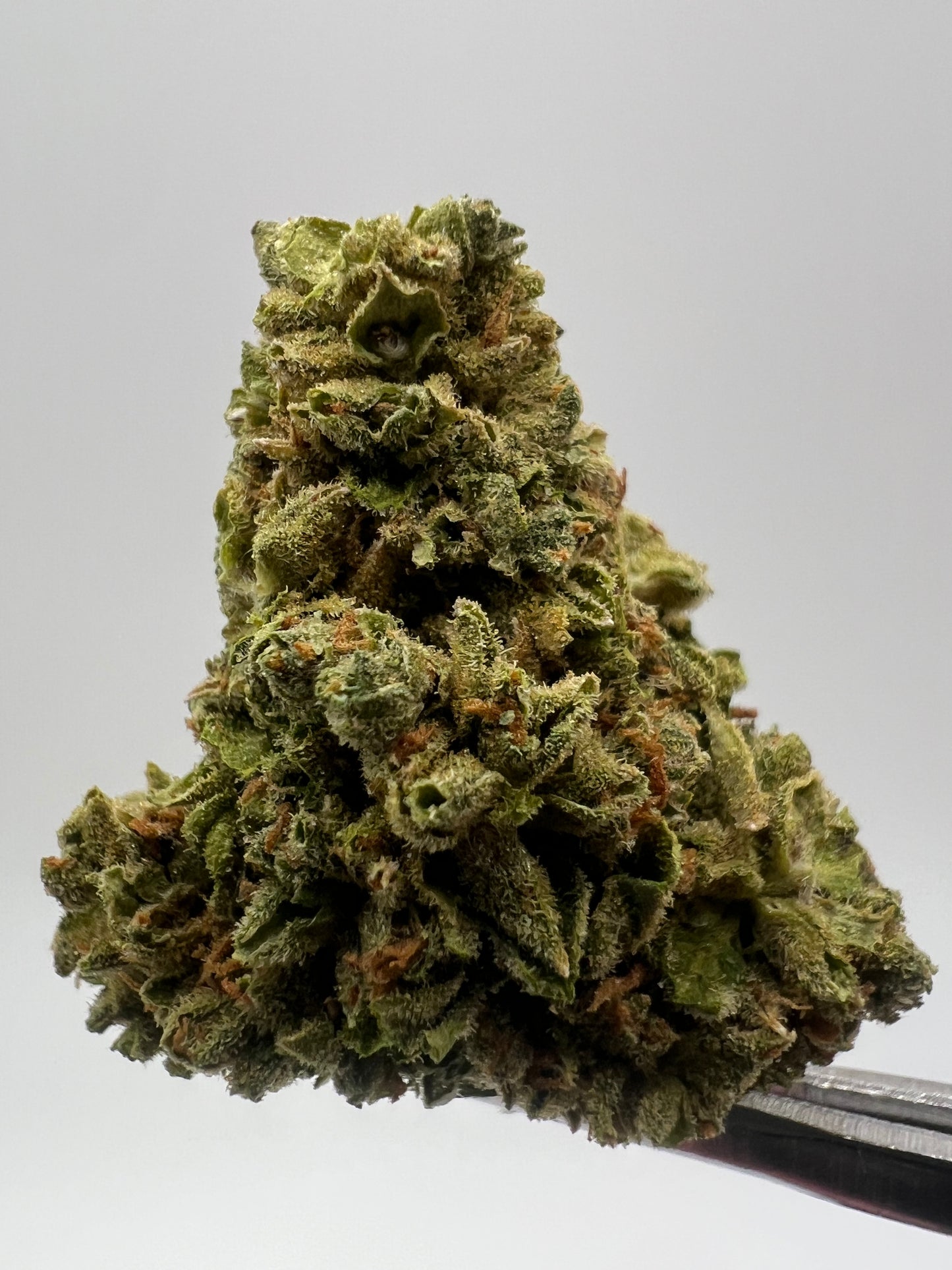 Cherry Lime Soda | THCA Flower
