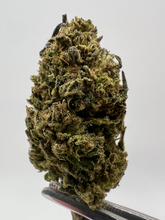 Jelly Cake | THCA Flower