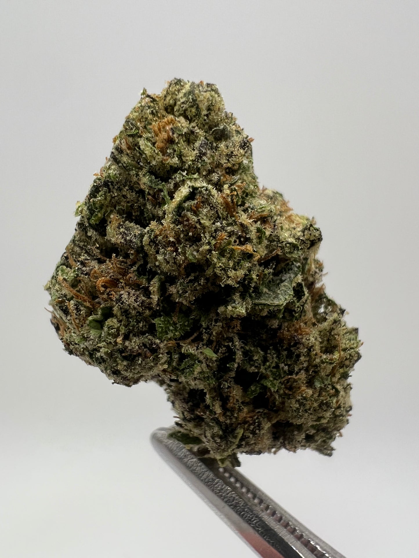 Animal Mintz | THCA Flower
