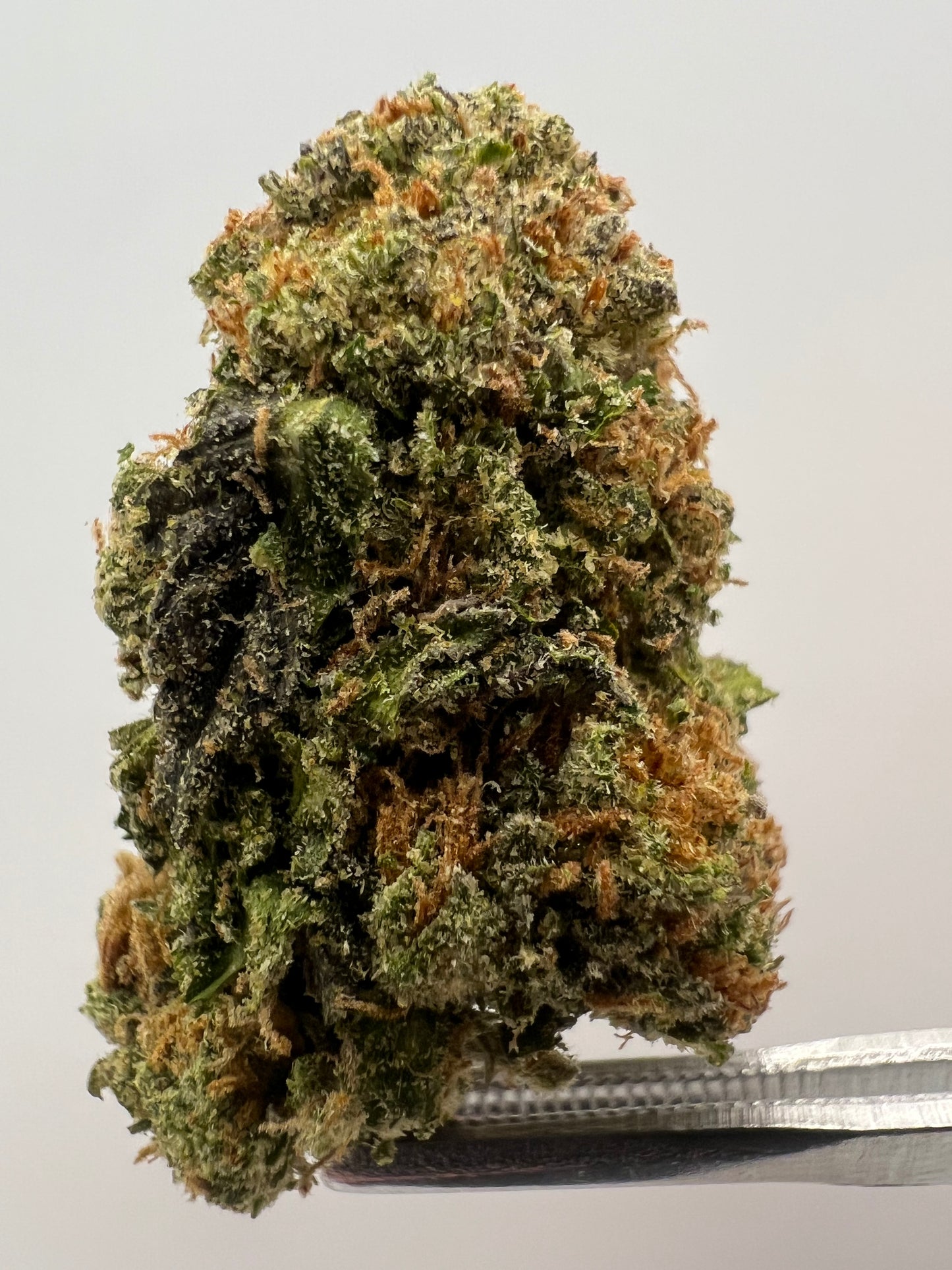 Lulu | THCA Flower