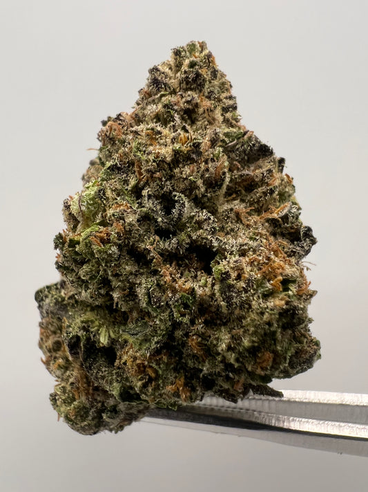 Platinum Cookies | THCA Flower