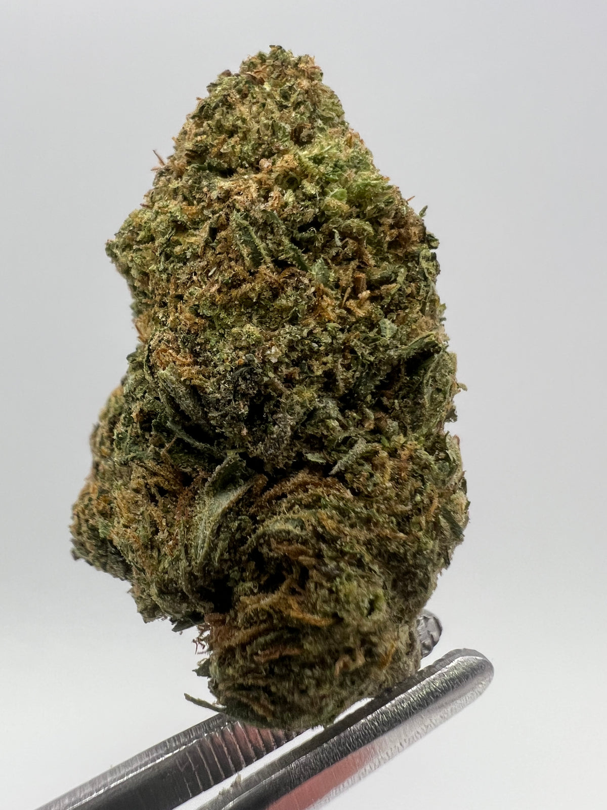Frosted Cookies | THCA Flower