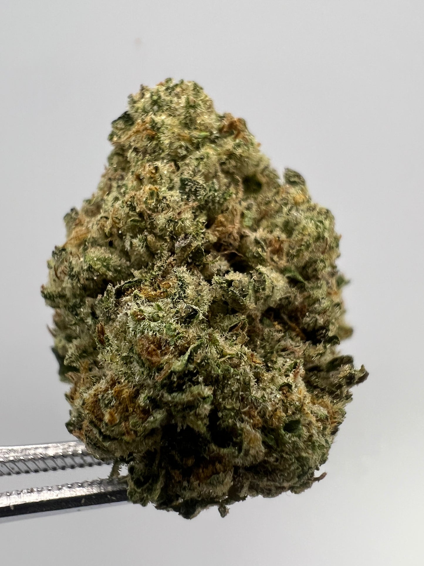 Muel Fuel | THCA Flower